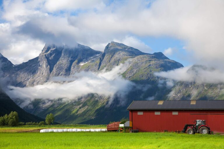 skatt ved salg av gårdsbruk - fjøs med fjell i bakgrunnen