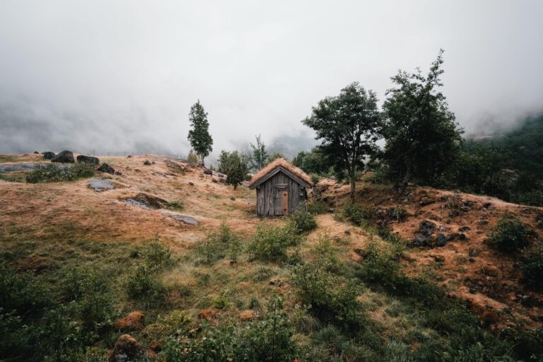 hevd og ekstinksjon - en hytte på fjellet
