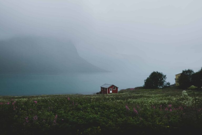 jordskifte - et naust ved en fjord
