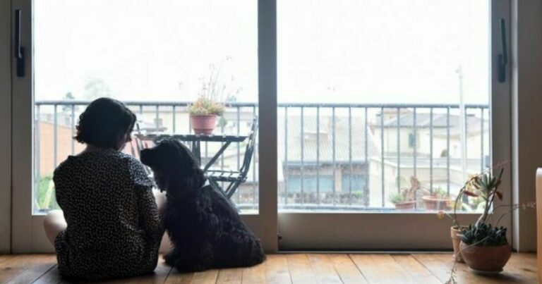 styreansvar i sameie - kvinne og en hund ved vinduet