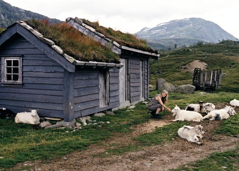 forlengelse av festeavtale - et gårdstun