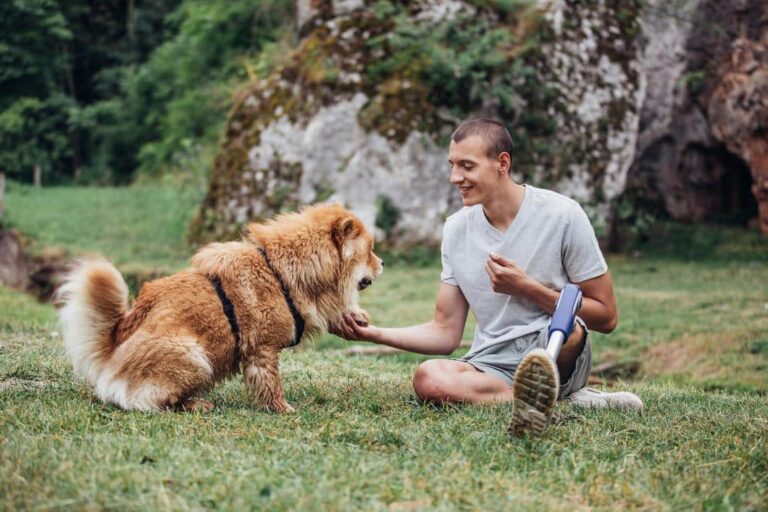 personskadeadvokater - mann som leker med en hund