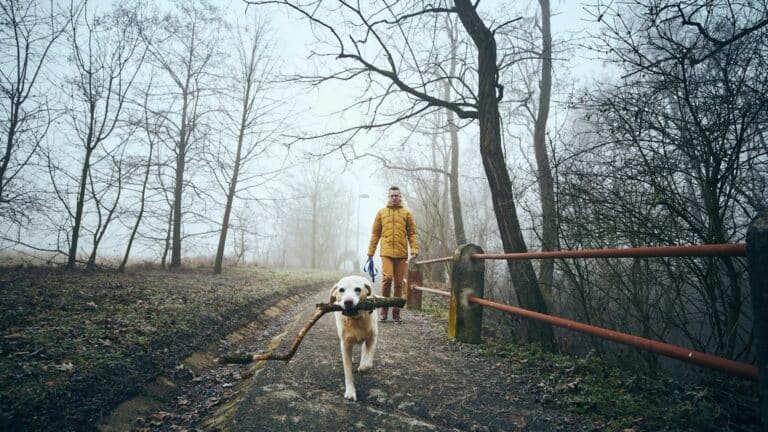ugyldig rekkefølgekrav - mann går tur med en hund